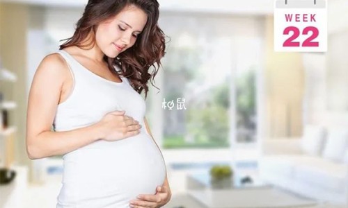 孕妇吃羊肉-孕妇吃羊肉和西瓜-专业孕妇吃羊肉和西瓜子好吗平台-羊肉孕妇吃了对胎儿好不