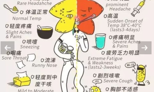 孕妇吃羊肉和西瓜哪个好-孕妇吃羊肉和西瓜-专业孕妇吃羊肉和西瓜子好吗平台-羊肉孕妇吃了对胎儿好不